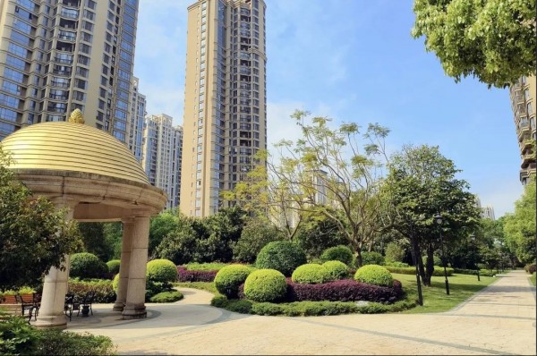 1723181037575272.jpg 15.JPG